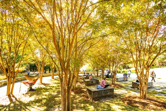photo of students on benches under tree canopy